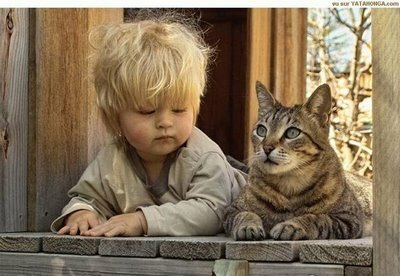 cat friends with boy